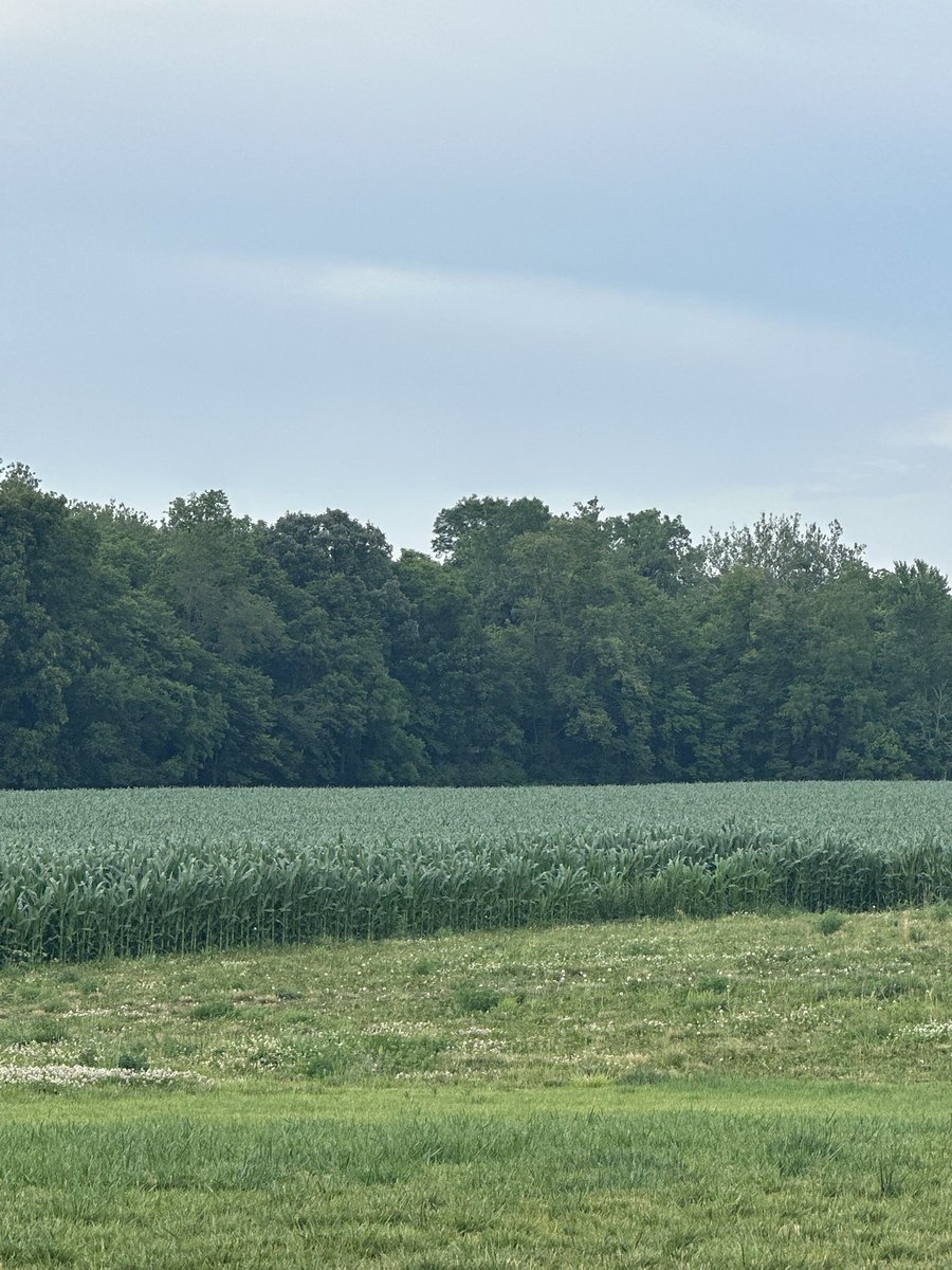 Bodie Kitchel tweet media