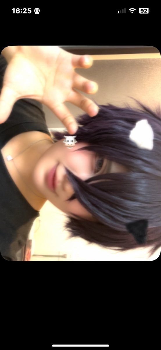 カチコミ猫 tweet media