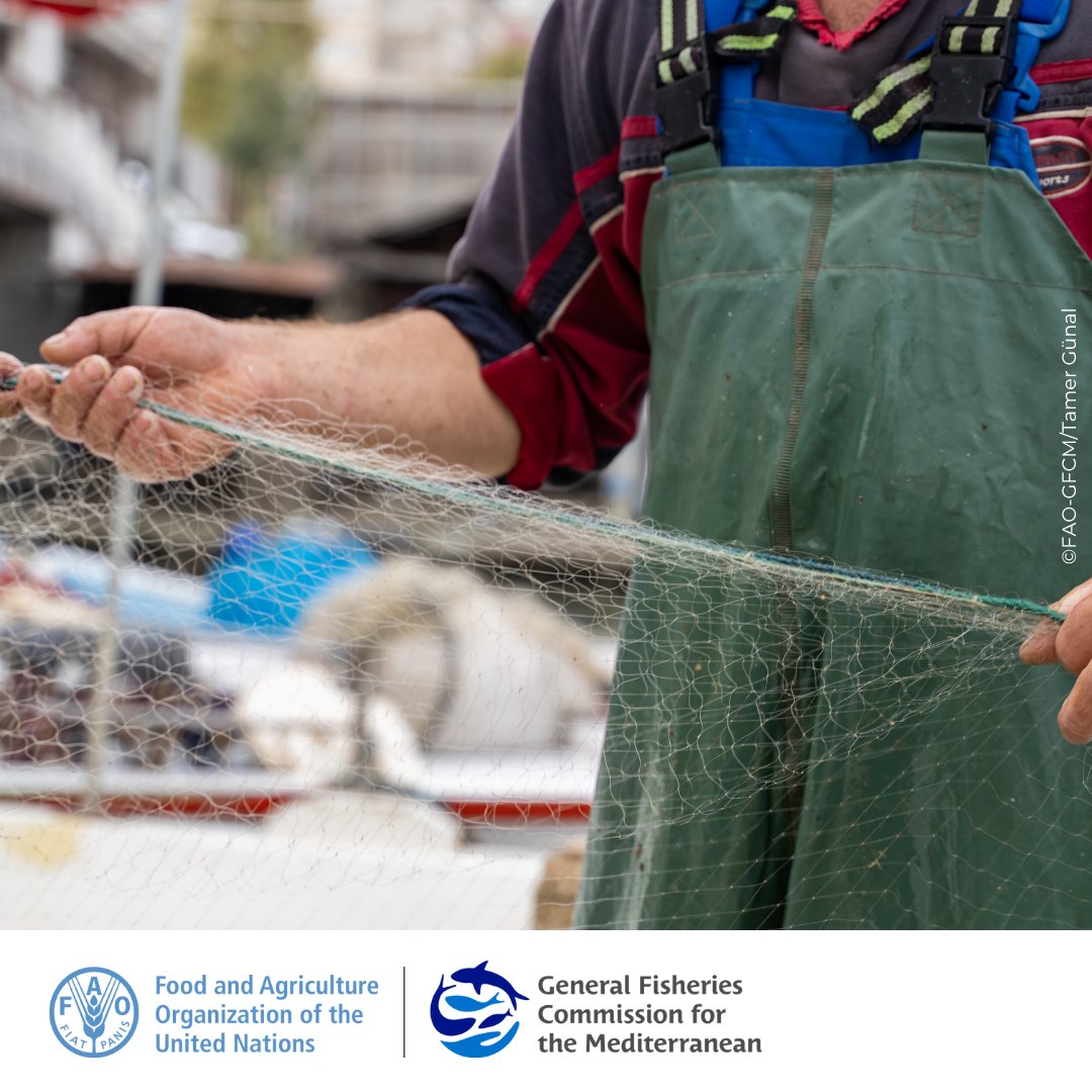 #GFCM_SAC: discussing small-scale fisheries

During the past year, +68 small-scale fishers and stakeholders participated in the #SSFForum programme, raising awareness about marine pollution &amp; the impacts of fishing gear on marine resources.

#SustainableFisheries