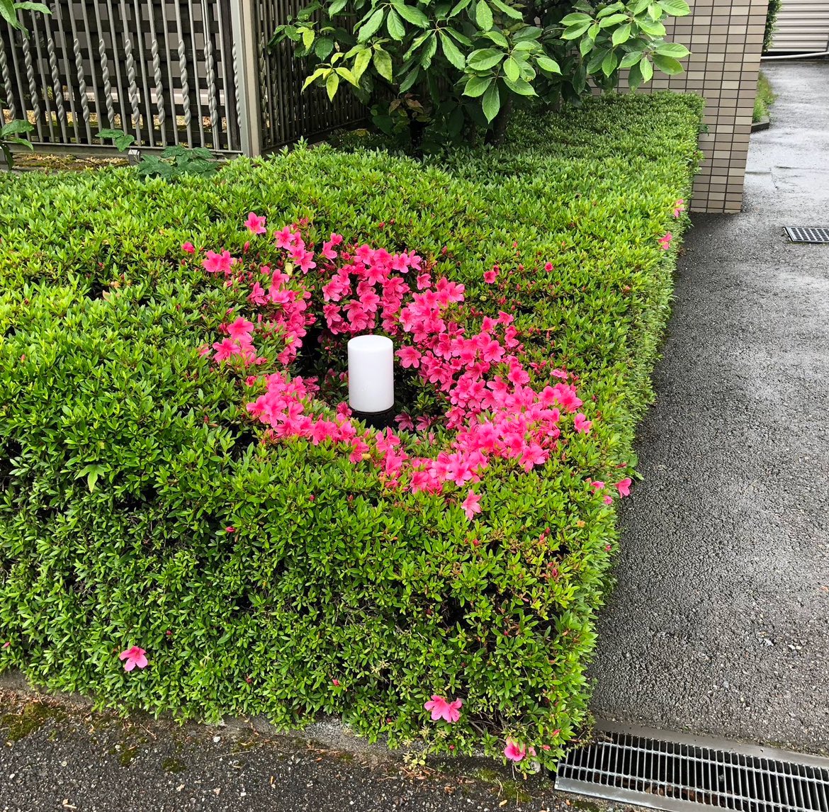 うさちゃんピーチ (@orikou_dance) on Twitter photo 