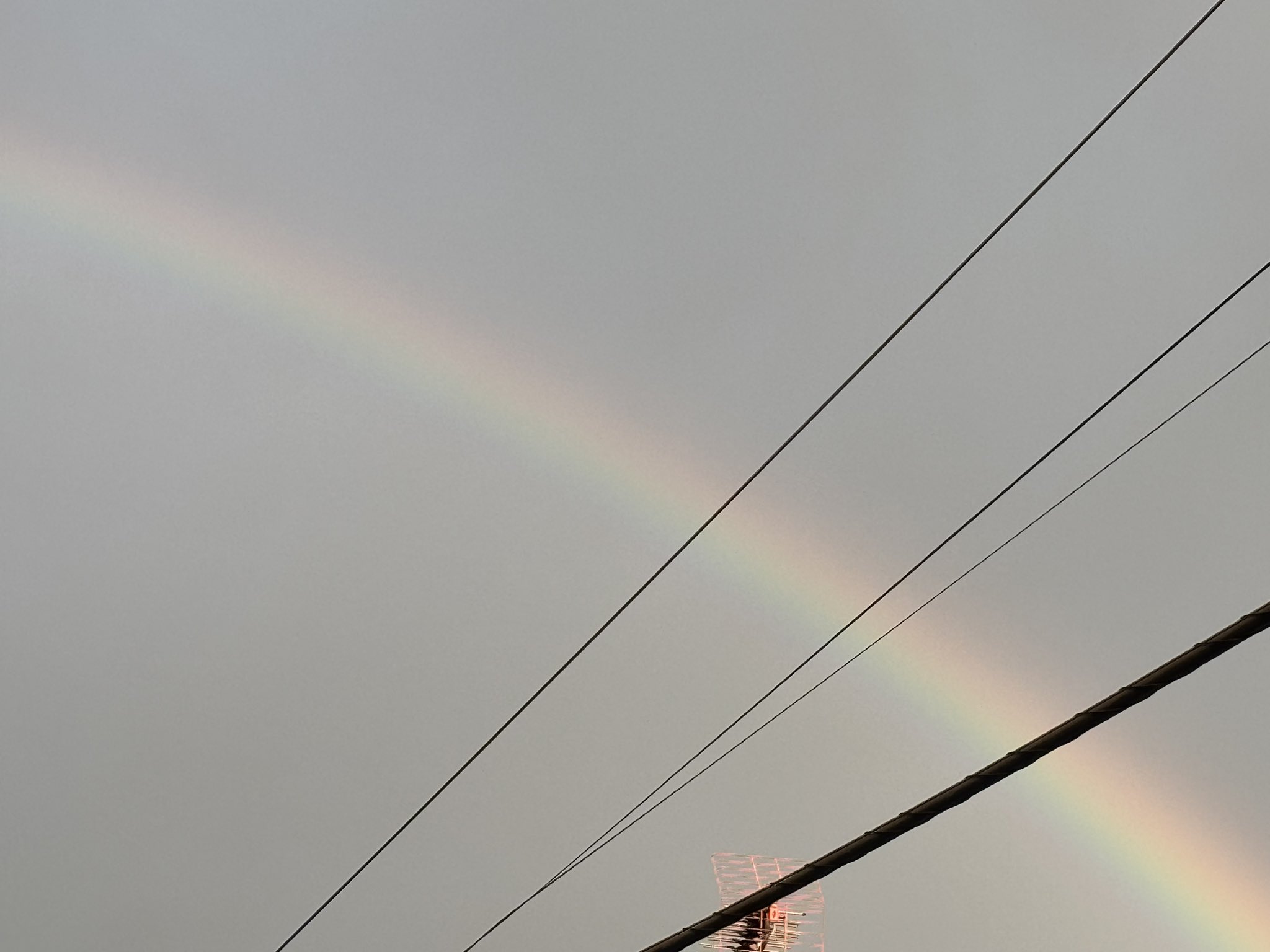 雨上がりの空 雨上がり、君が映す空はきっと美しい | 汐見 夏衛 |本 | 通販