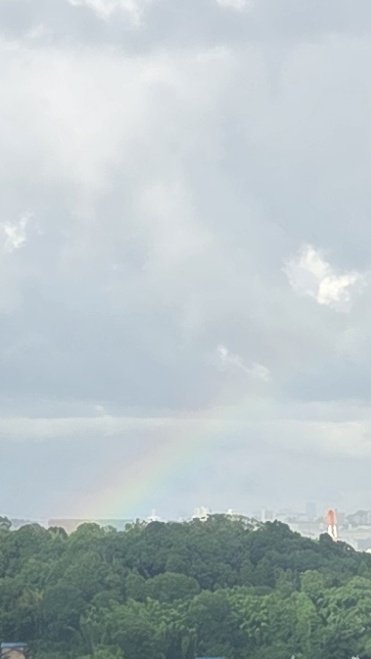 虹🌈