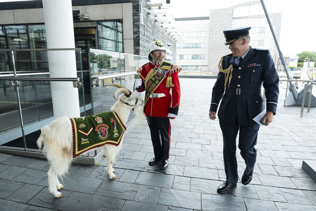 Noson wych yn Dderbynfa Cyflogwr Y Senedd i Ddathlu Diwrnod y Milwyr Wrth Gefn. Braf cael siarad am bwysigrwydd milwyr wrth gefn i’r Weinyddiaeth Amddiffyn a’r rôl y mae cyflogwyr yn eu chwarae.

<a href="/DarrenMillarMS/">Darren Millar MS 🏴󠁧󠁢󠁷󠁬󠁳󠁿</a> <a href="/RFCAforWales/">RFCA for Wales</a> 

#RAF #RoyalAirForce