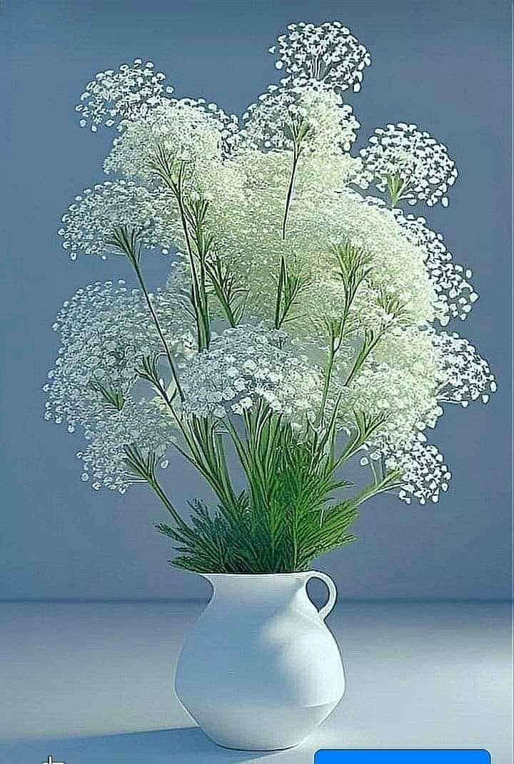 folu_og43's tweet image. Blooming Beauty.

🤍🤍