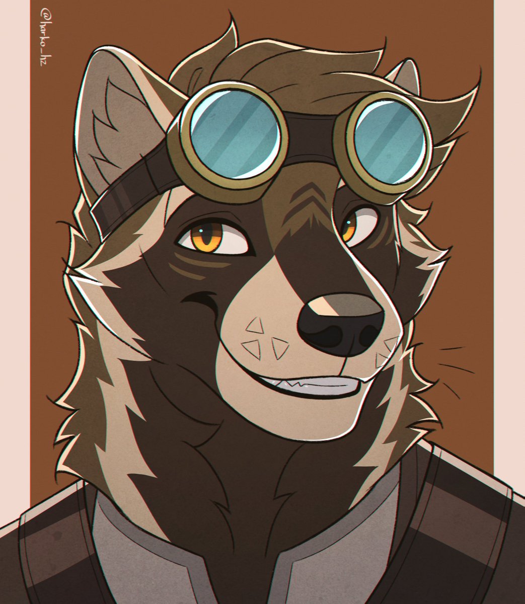Raccoon with the goggles