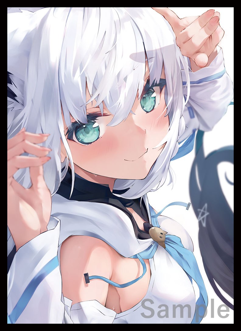 SC2025Summer/サンクリ/Web頒布 新作情報
「フブキ」のスリーブとプレイマットになります! 