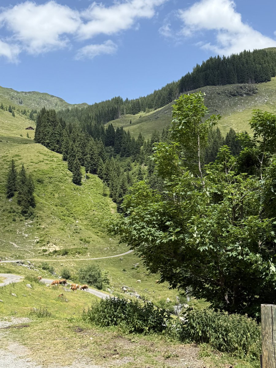 Hara S Pax (@drspatzene42891) on Twitter photo 