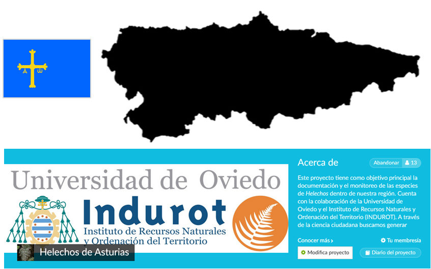 🌿 ¿Sabías que en los bosques de Asturias habitan algunas de las especies de helechos más antiguas y fascinantes del planeta?
¡Únete al proyecto "Helechos de Asturias" en iNaturalist y ayúdanos a mapear su diversidad! 
👉 inaturalist.org/projects/helec…
#HelechosDeAsturias #iNaturalist