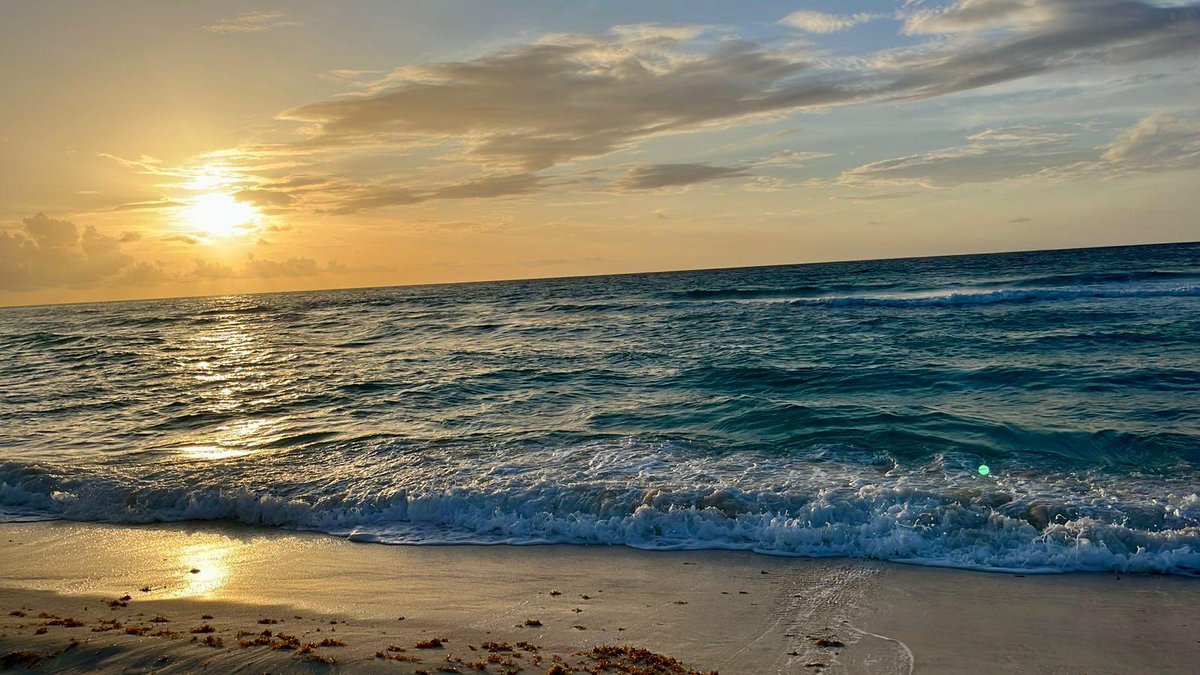 MaraLezama's tweet photo. Así de espectaculares amanecen nuestras playas en #QuintanaRoo. 🤩🌊☀️ 

Recuerden que #NiTodosLosDíasNiEnTodasLasPlayas hay sargazo en el estado. https://t.co/xZBorkPTOp