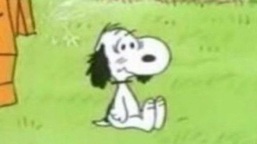 snoopy lover tweet media