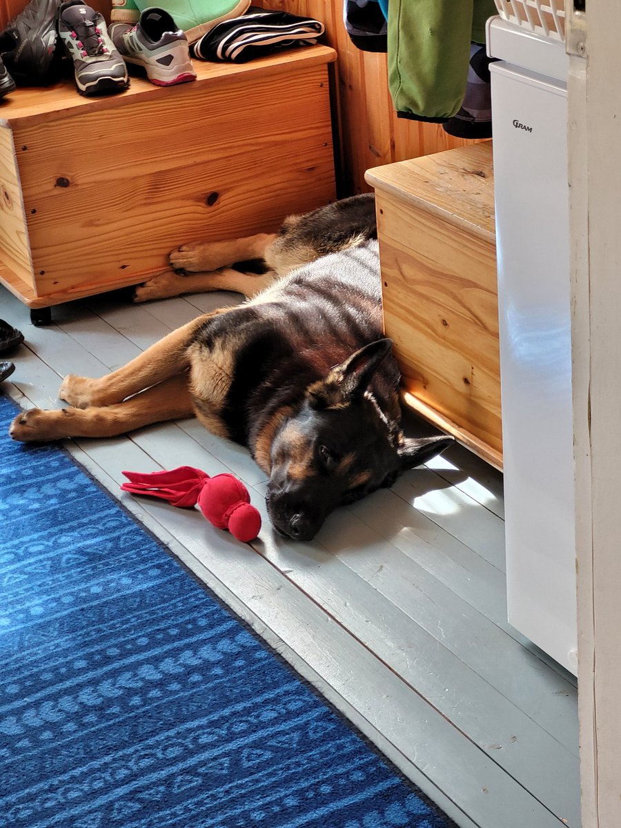 Tarja Tanska tweet media