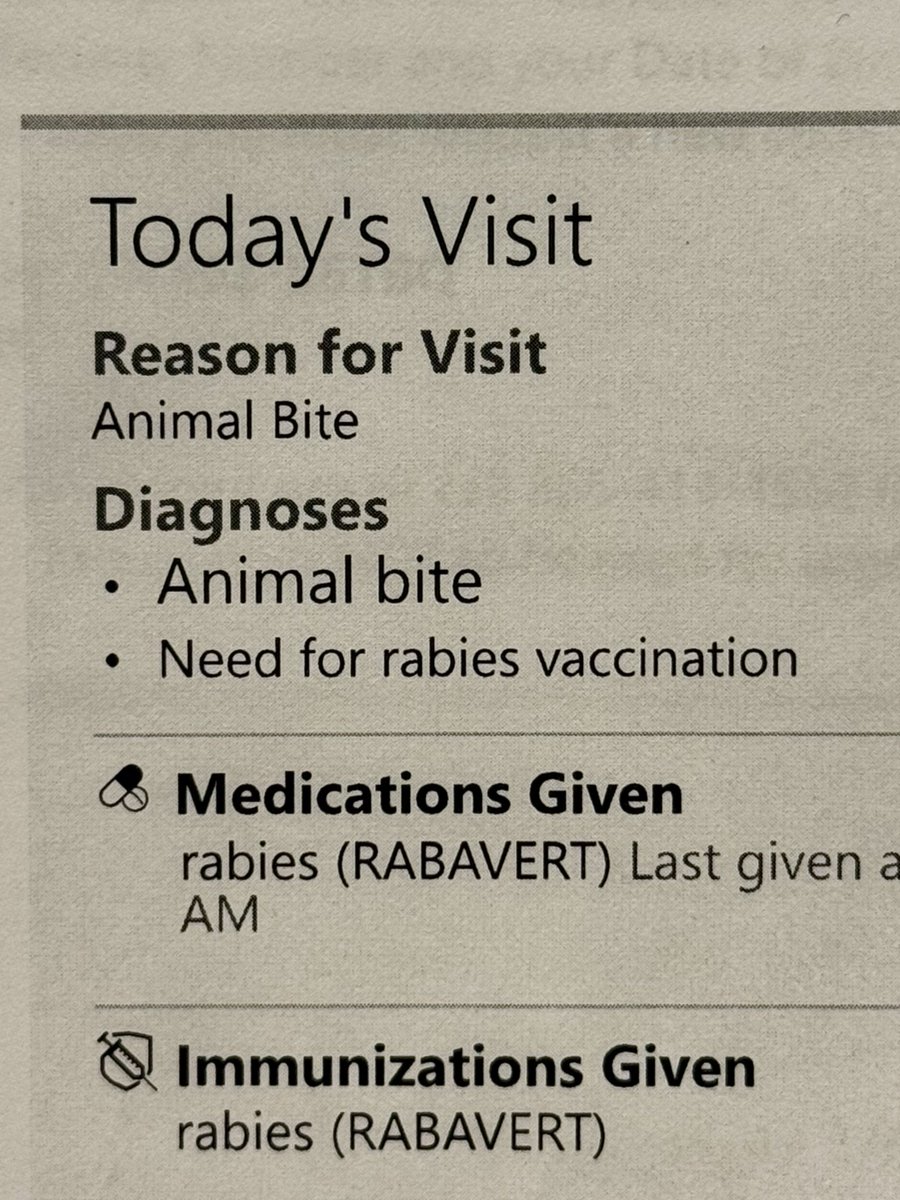 I seal love photography 🦭 

Even though this happened four weeks ago…