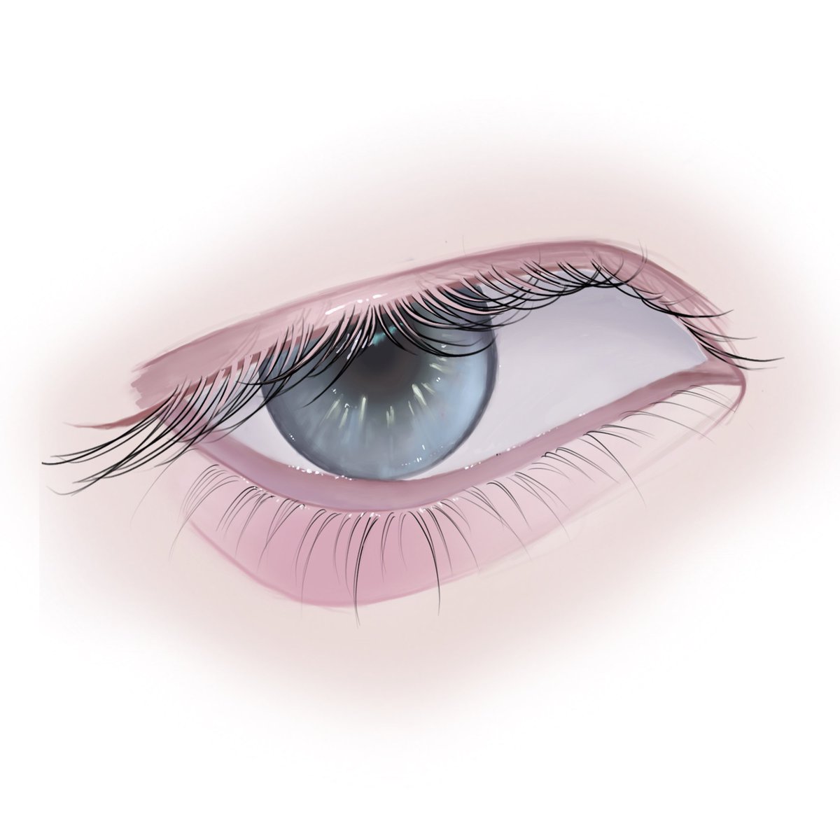 MillVrit's tweet photo. day 13 drawing random tutorials
#MillVritDailyTutorials https://t.co/yBlvbQ0fx9