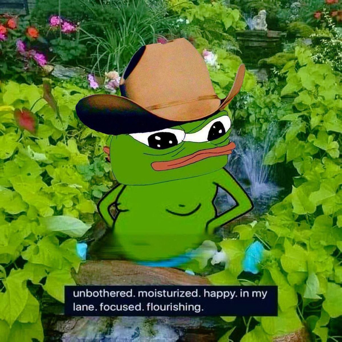 ApusCoin's tweet image. Gm frens