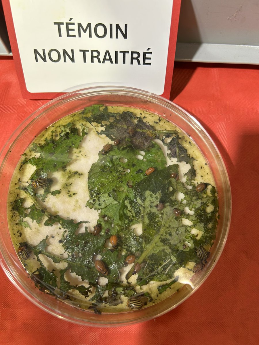 En direct du salon #Qualipom’ 

Retrouvez-nous sur notre stand 

📍 224