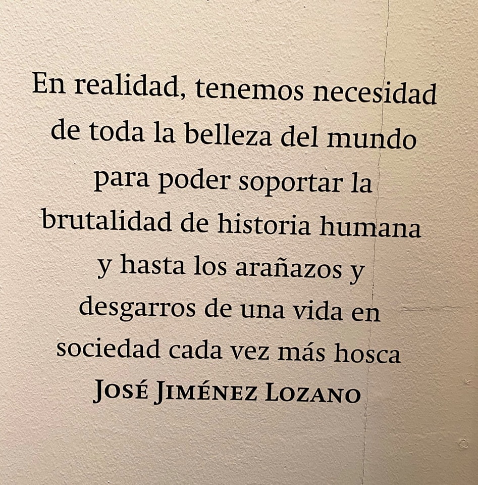 literlandweb1's tweet image. 