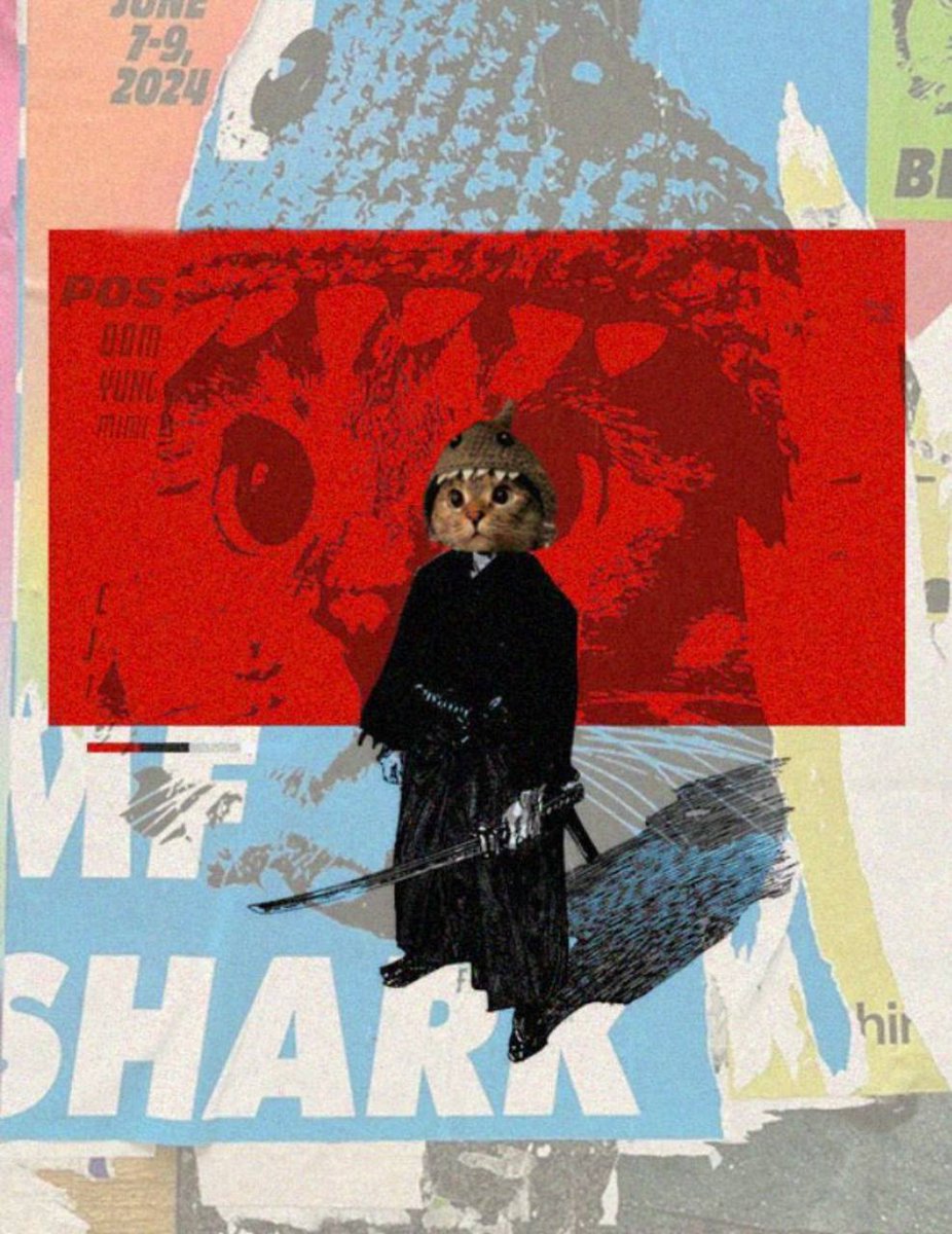 cats a mf shark 

sharkcat.

🦈🐱⚔️ $SC