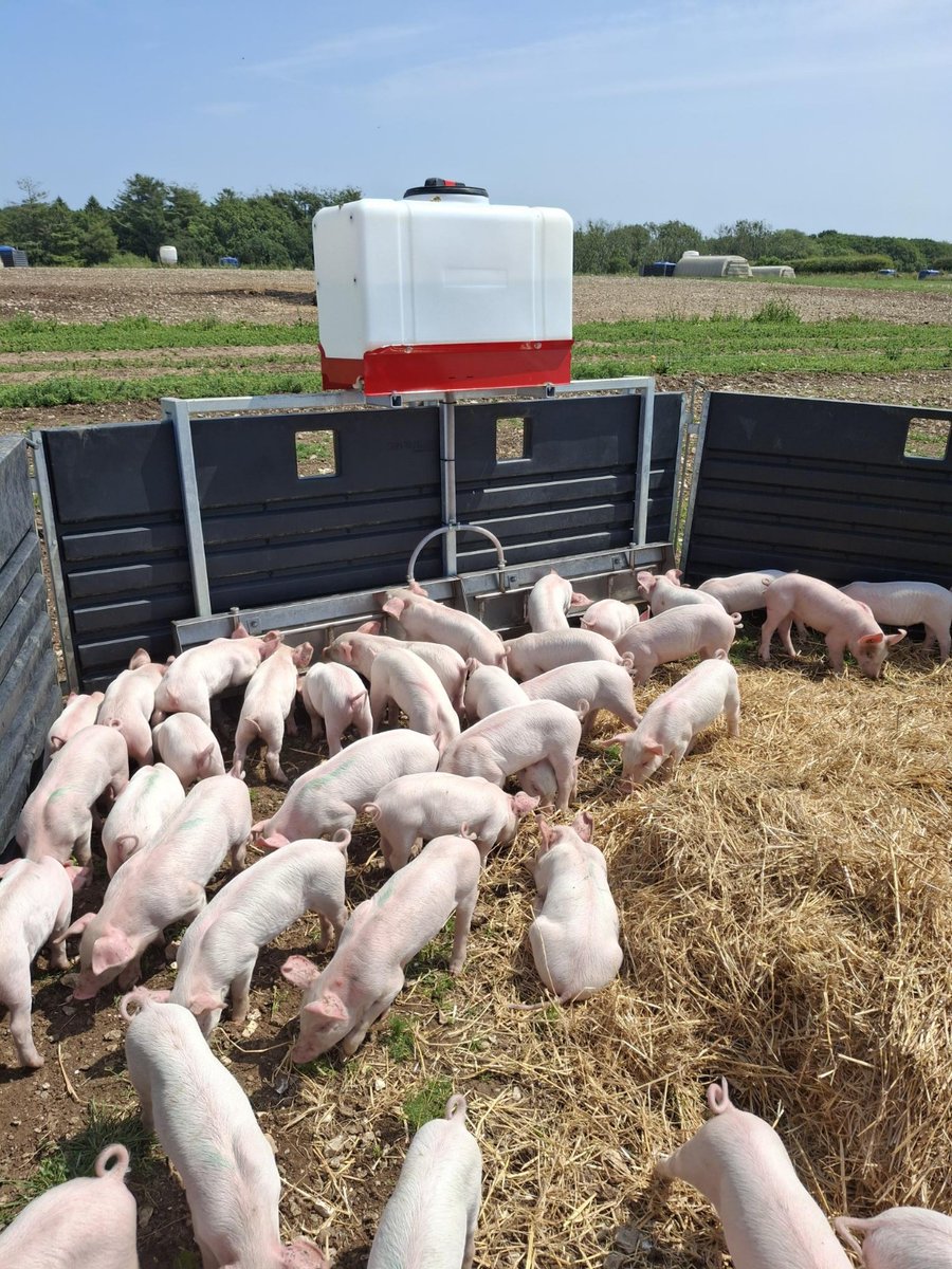 Contented Products tweet media