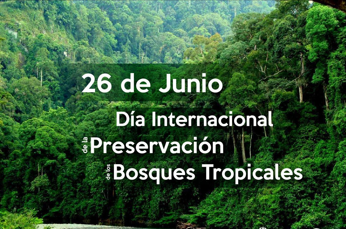💥Hoy 26 Junio
Día Internacional de la Preservación de los Bosques Tropicales.

<a href="/MarenaNicaragua/">Marena Nicaragua</a> 
<a href="/Atego16/">@🅰🆃🅴🅶🅾 🇳🇮</a> 
<a href="/RDRFSLN_/">RDRFSLN_🇳🇮❤🖤</a>