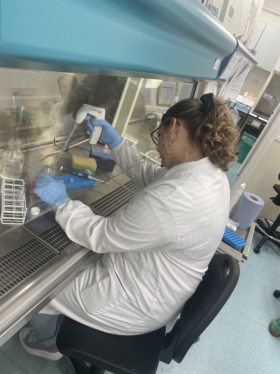 Volunteer <a href="/bloodcancer_uk/">Blood Cancer UK</a> Jess enjoyed a day with <a href="/alex_tonks/">Alex Tonks</a> <a href="/haematology_CU/">Dept of Haematology, Cardiff University</a>. Jess was able to give insight into what it is like to be treated for APL (a form of AML) talk with students about her lived experience of blood cancer. Together we will #beatbloodcancer