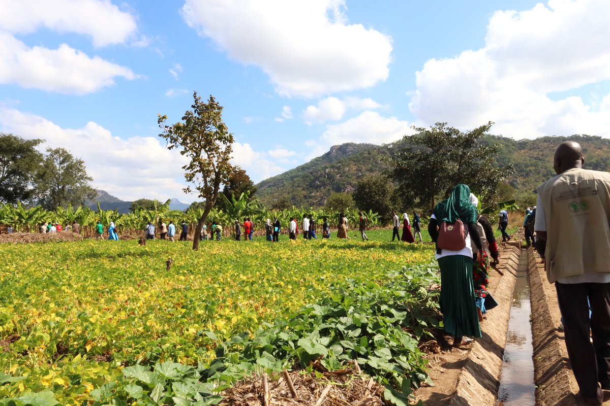 CARE Malawi (@careintmalawi) on Twitter photo “IF WE INVEST MORE IN IRRIGATION, MANGOCHI CAN FEED ITSELF.” – Mr. Nditani Maluwa, Mangochi Agriculture Director, at the Irrigation & Catchment Launch. With support from the USAID-funded Titukulane project, CARE Malawi is helping boost irrigation for food security & resilience. “IF WE INVEST MORE IN IRRIGATION, MANGOCHI CAN FEED ITSELF.” – Mr. Nditani Maluwa, Mangochi Agriculture Director, at the Irrigation & Catchment Launch. With support from the USAID-funded Titukulane project, CARE Malawi is helping boost irrigation for food security & resilience.