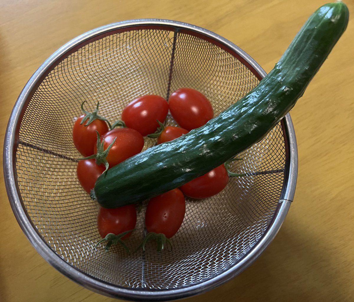 やること済ませたので夜の家庭菜園！

ミニトマト需要が非常に高い我が家に申し訳程度の供給🍅
あと取り損ねてたキュウリ🥒