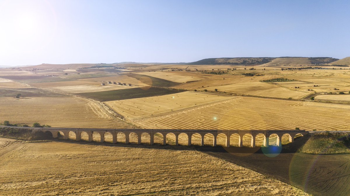 giuseppe palladino tweet media