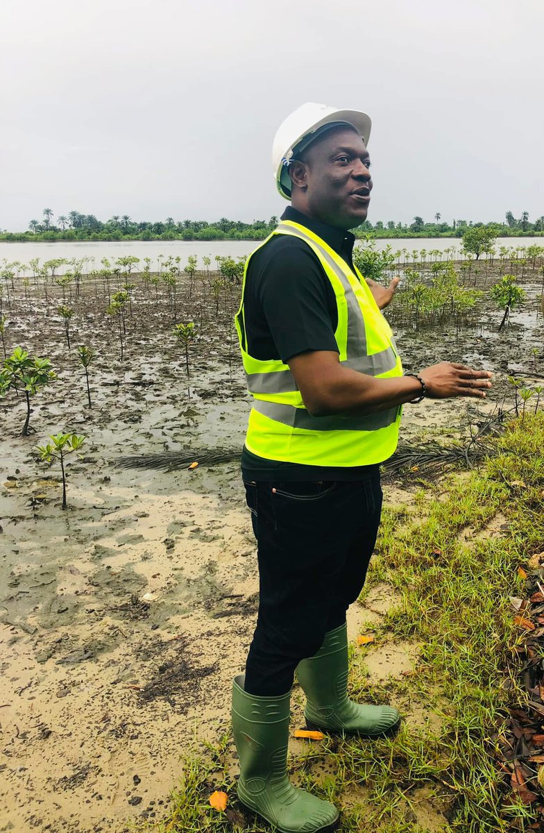 PrideMangrove's tweet photo. Happy birthday celebrations to a Pride of the Mangrove, @ZabbeyNeni, the efficient coordinator of @HYPREPNigeria. Thank you for the good job towards restoring the Niger Delta environment. https://t.co/YuCGOobEsk