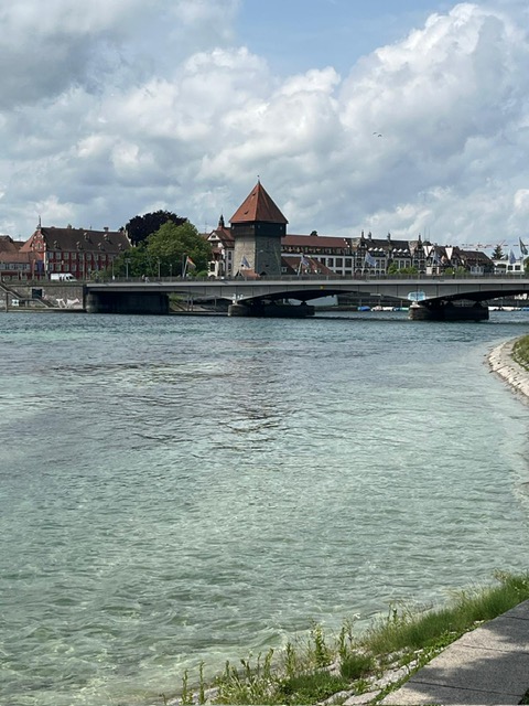 Mybus_Germany's tweet image. ドイツとスイス、オーストリアの国境に位置する最近のボーデン湖の様子です。湖にあるマイナウ島はお花で有名です。ドイツも夏日が続き毎日暑いですが、蝶やトンボの姿もよく見かけるようになりました。🌼🦋🦋