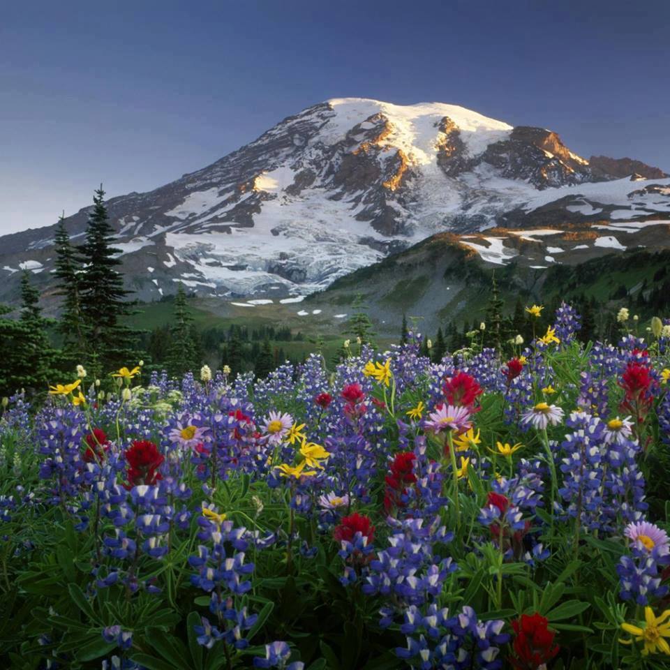 Abdul Ghafoor (@ghafoor0088290) on Twitter photo 