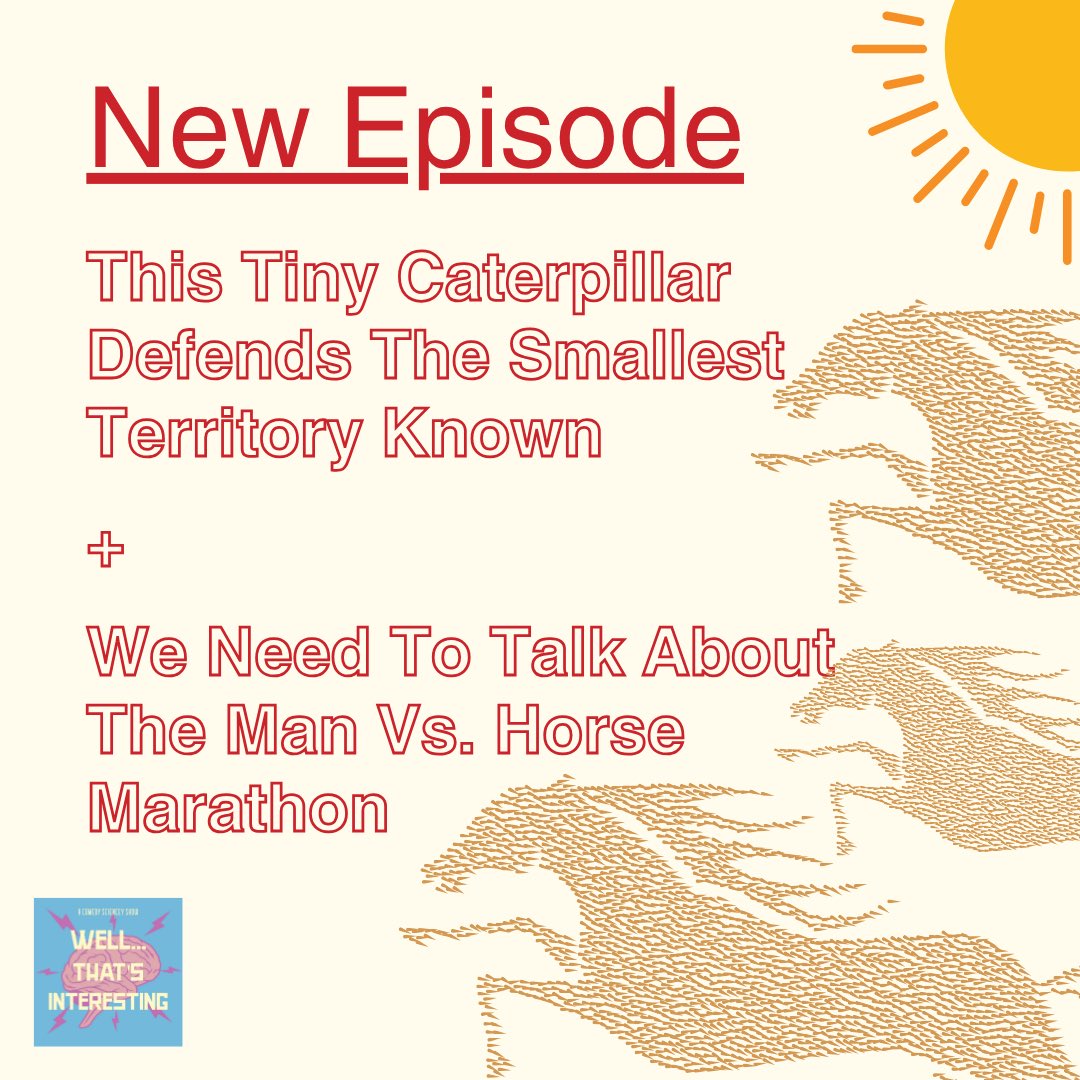 wti_pod's tweet image. Babes!!🚨This Tiny Caterpillar Defends The Tiniest Territory Known + We Need To Talk About The Man Vs Horse Marathon
Today is all about VICTORY! Join me as we watch a dance-off between newborn creatures and humans attempting to outrun a horse. open.spotify.com/episode/7mbq9I…