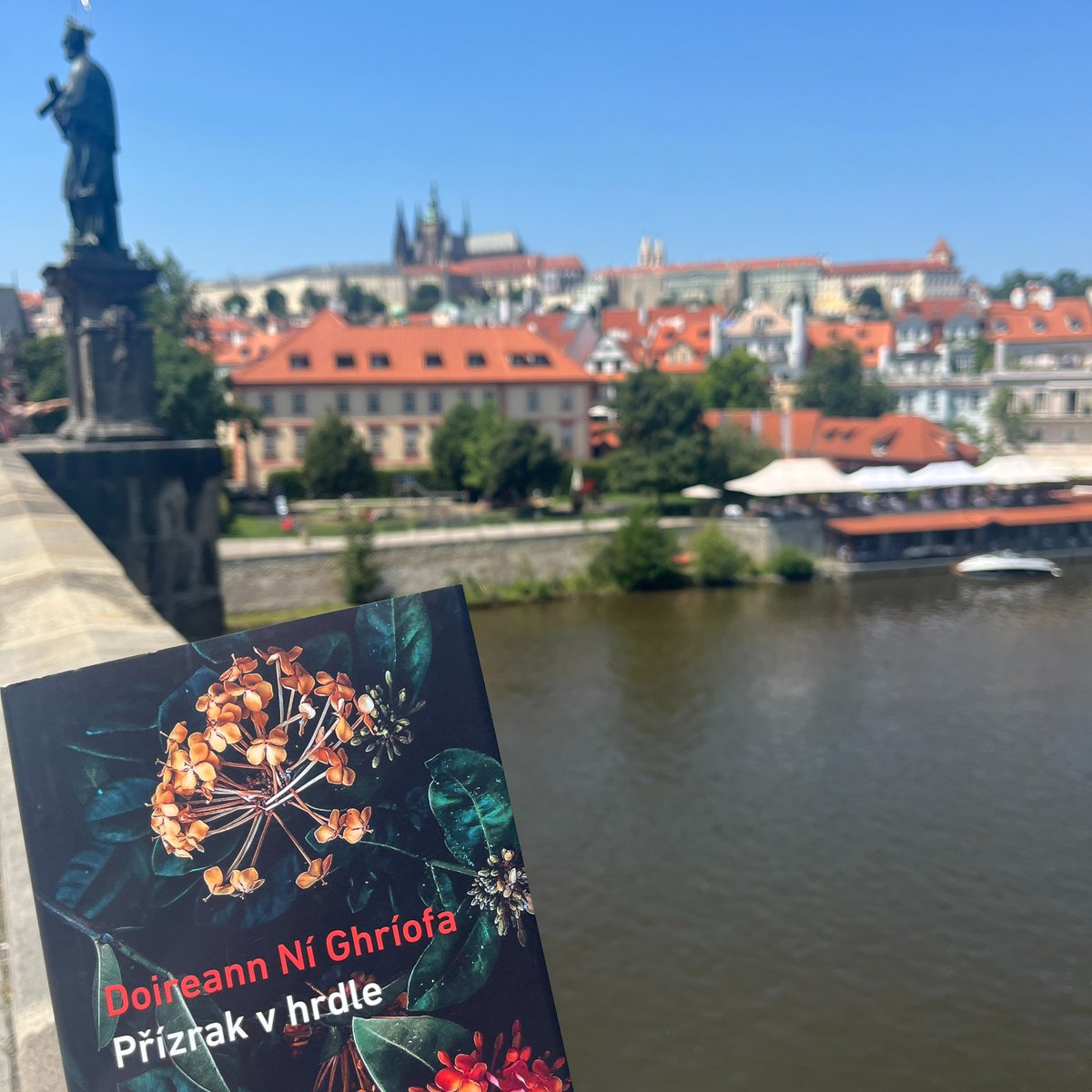 The Embassy is delighted to be partnering with libraries across  🇨🇿  to give away a selection of books by  🇮🇪  authors 📚

#BloomsdayandBeyond