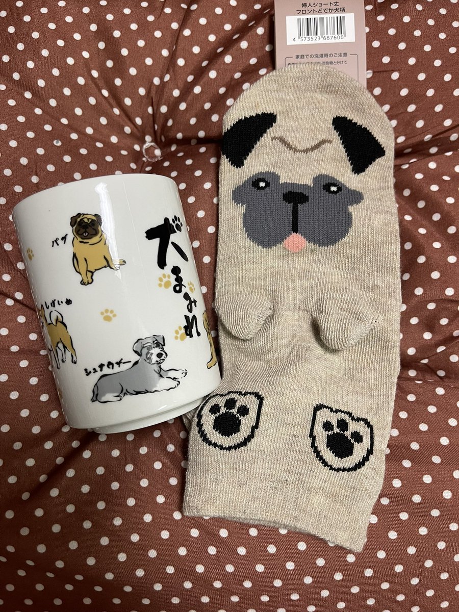 bba0037's tweet photo. seriaでぢっちゃんみつけた😙 https://t.co/ZV3R1MhGUu