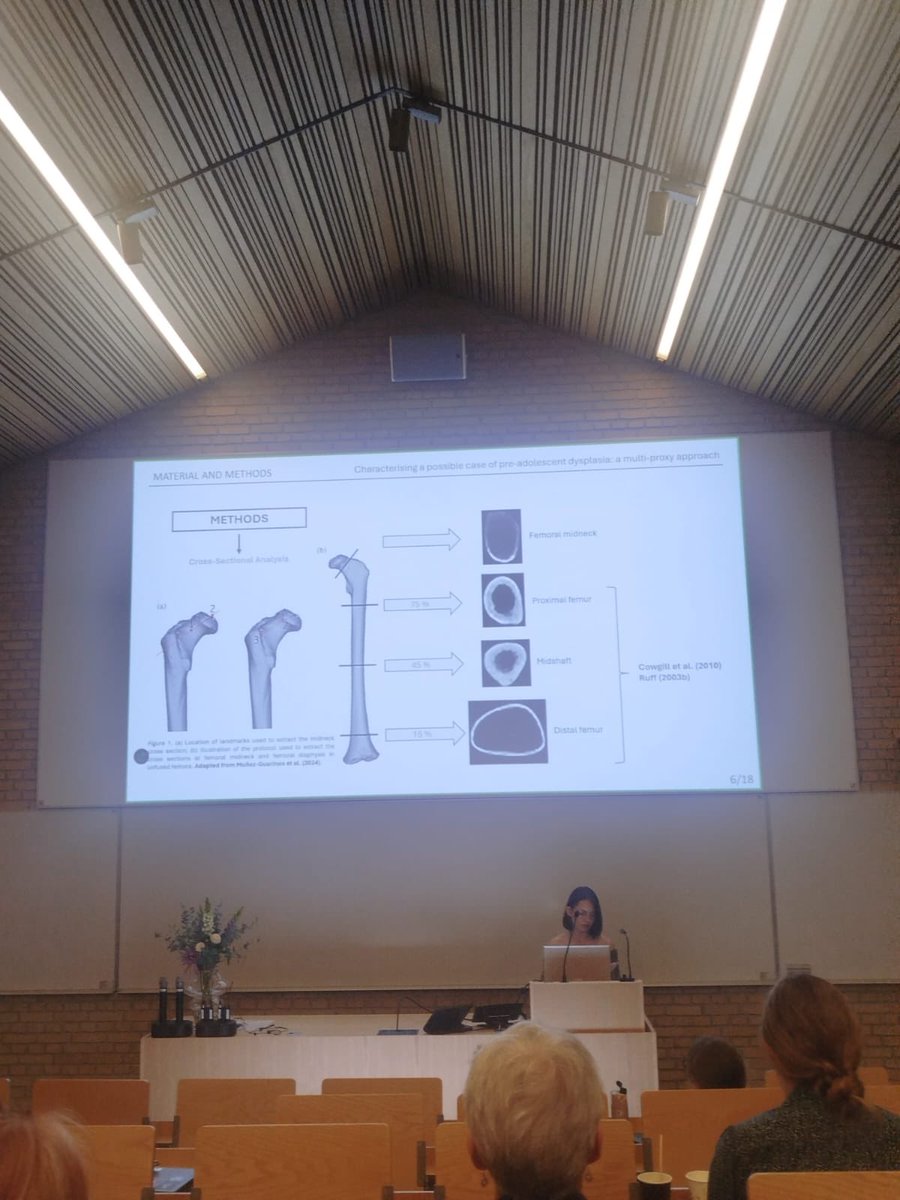 LaboratorioEH's tweet image. Hoy nuestras compañeras @AlbaNavPe @MartaFe00284440 y @mgbarreiro_ han estado en el #SSCIP2025 hablando sobre destete, un bebé enterrado en un campamento romano y un caso de displasia de cadera en un niño medieval.