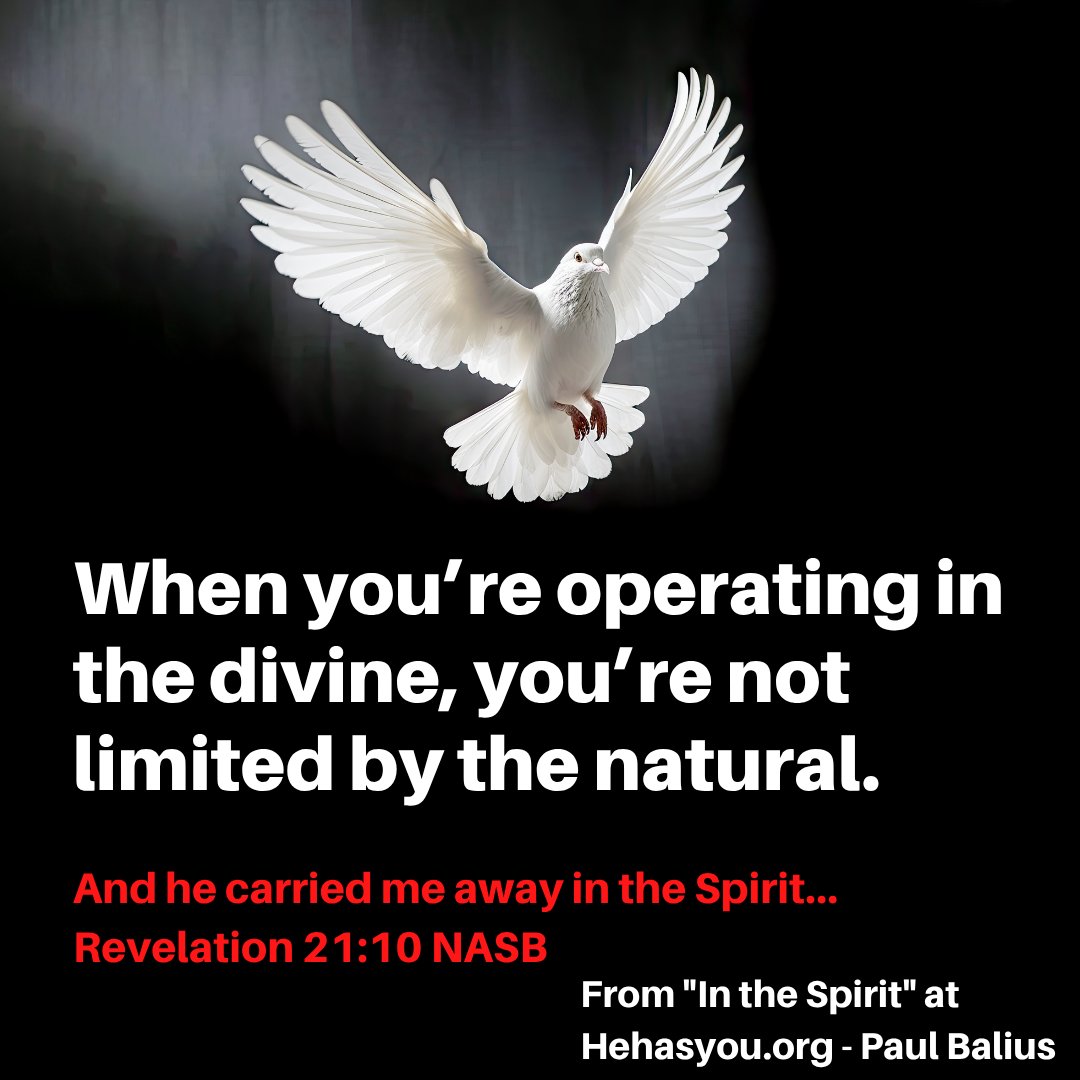 pbalius's tweet photo. #inthespirit #paulbalius https://t.co/WRhD7Z9ABQ