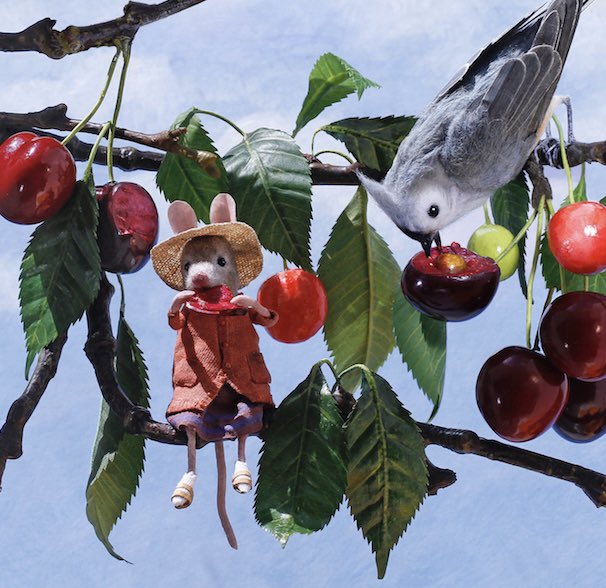 Cherry season