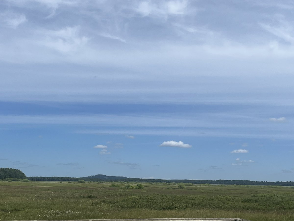 Nationalparken Store Mosse idag.