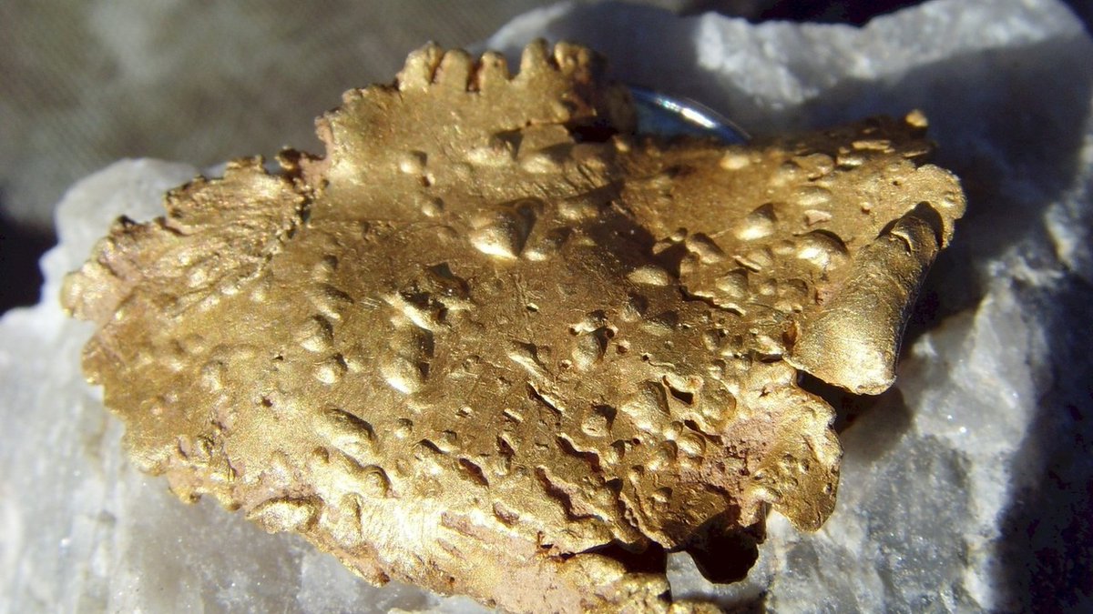 Pan-African Resources and Greatland Gold epitomise the value of UK mining stocks (Q&amp;A)

tinyurl.com/28dntgg6

#DIVI #GGP #PAF #RNS #Stocks #DiverseIncomeTrust #IncomeTrust #Dividends #Portfolio #Fund #MultiCap #Miton #PanAfricanResources #GreatlandGold #GoldMining