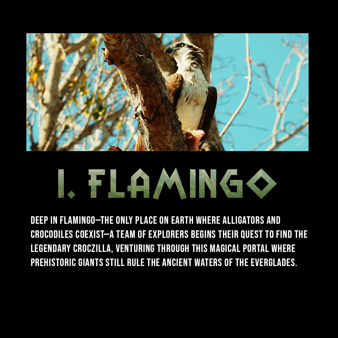 xploristsociety's tweet image. Here are the first four chapters to the "King of the Everglades". Story points may change as we progress with shooting.