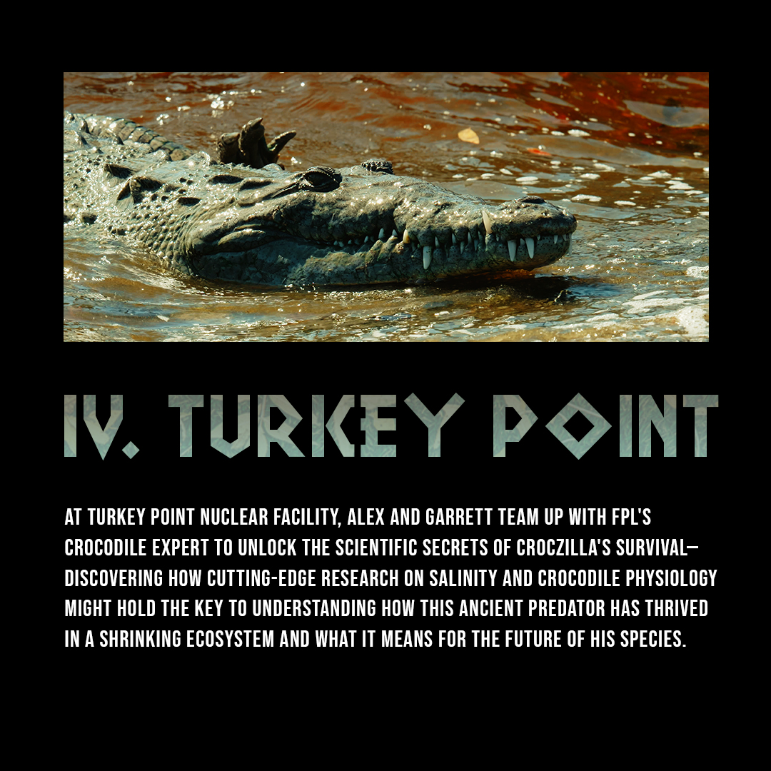 xploristsociety's tweet image. Here are the first four chapters to the "King of the Everglades". Story points may change as we progress with shooting.
