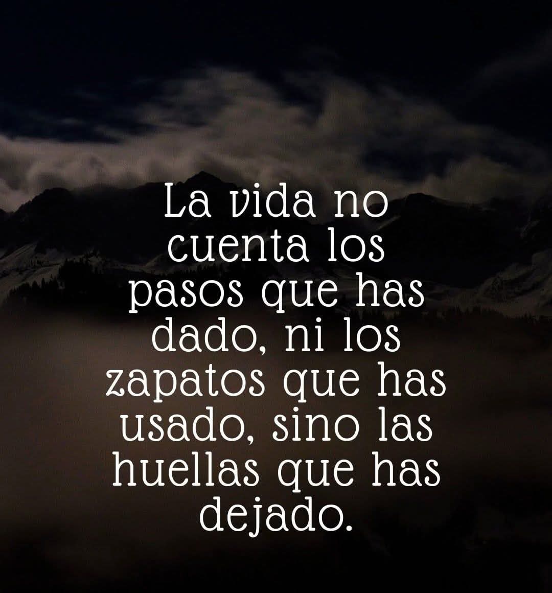 Dejar huellas 🐾🐾
