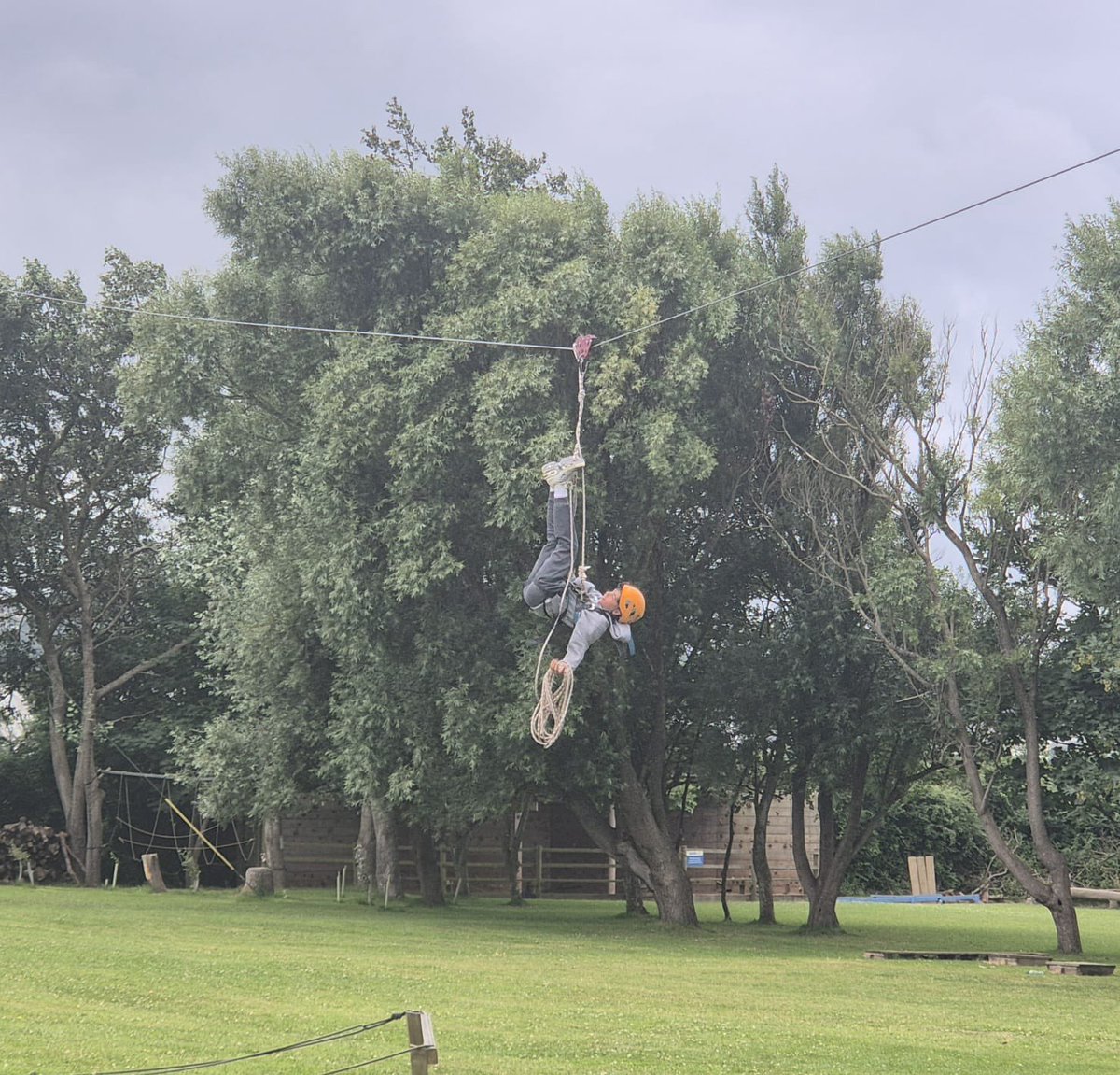 UCS Trips tweet media