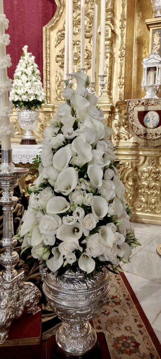 Grado Floristería (@javigrado) on Twitter photo Nuestro exorno para el Besamanos extraordinario de Madre De Dios de la Palma de la Hdad. del <a href="/CristoDeBurgos/">Hdad. Cristo Burgos</a> Nuestro exorno para el Besamanos extraordinario de Madre De Dios de la Palma de la Hdad. del <a href="/CristoDeBurgos/">Hdad. Cristo Burgos</a>