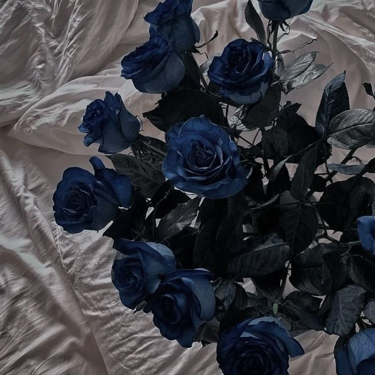 MakeDamnSure_00's tweet photo. . ݁₊ ⊹ . ݁˖ . ݁como eu imagino se as flores fossem pessoas? #flowerstwt
(parte 3)༄.° https://t.co/gngcEbhofJ