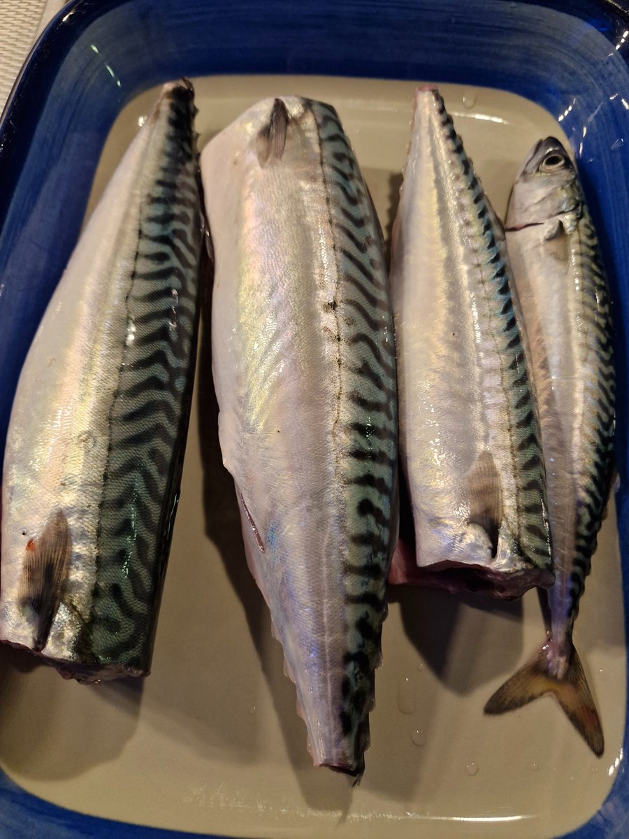 Today's catch. Will be today's dinner and tomorrow's lunch
