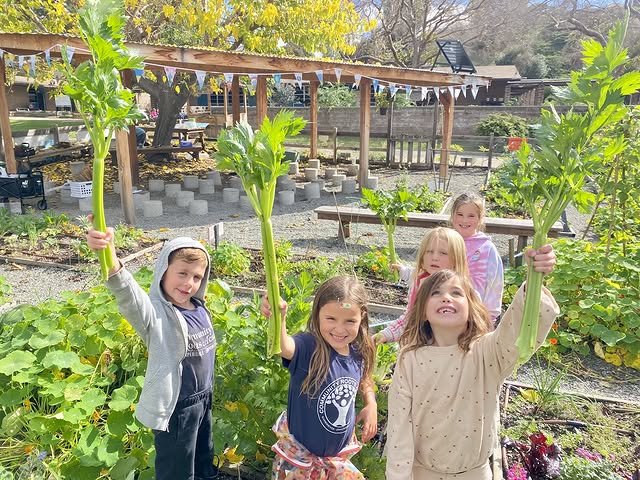 CDE Office of Learning Environments (@cdefacilities) on Twitter photo Let the sunshine in!🌞Outdoor Learning Environments guidance from <a href="/CADeptEd/">CA Department of Education</a> assists schools with planning and designing outdoor learning spaces that foster hands-on learning and improve student health and achievement. cde.ca.gov/ls/fa/outdoorl… Let the sunshine in!🌞Outdoor Learning Environments guidance from <a href="/CADeptEd/">CA Department of Education</a> assists schools with planning and designing outdoor learning spaces that foster hands-on learning and improve student health and achievement. cde.ca.gov/ls/fa/outdoorl…