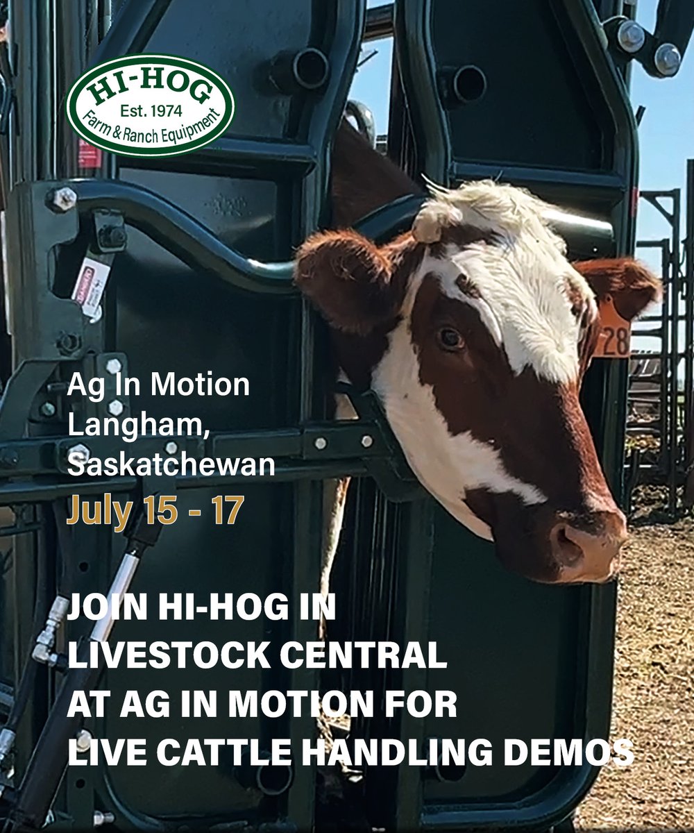 #HiHog