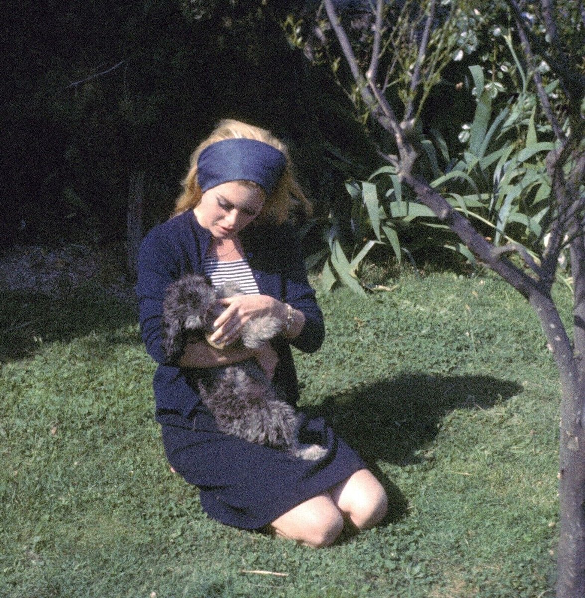 ౨ৎ (@vanyiac) on Twitter photo 