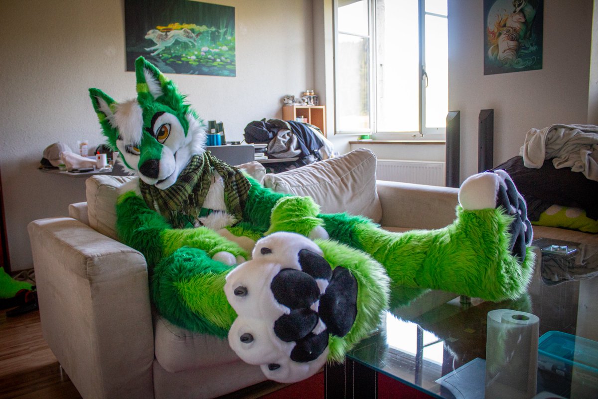ColtArokaii's tweet image. PAWS n CHILL 🐾🛋️

📸 : @Kyliow_Rasuto 💚💚💚💚💚
