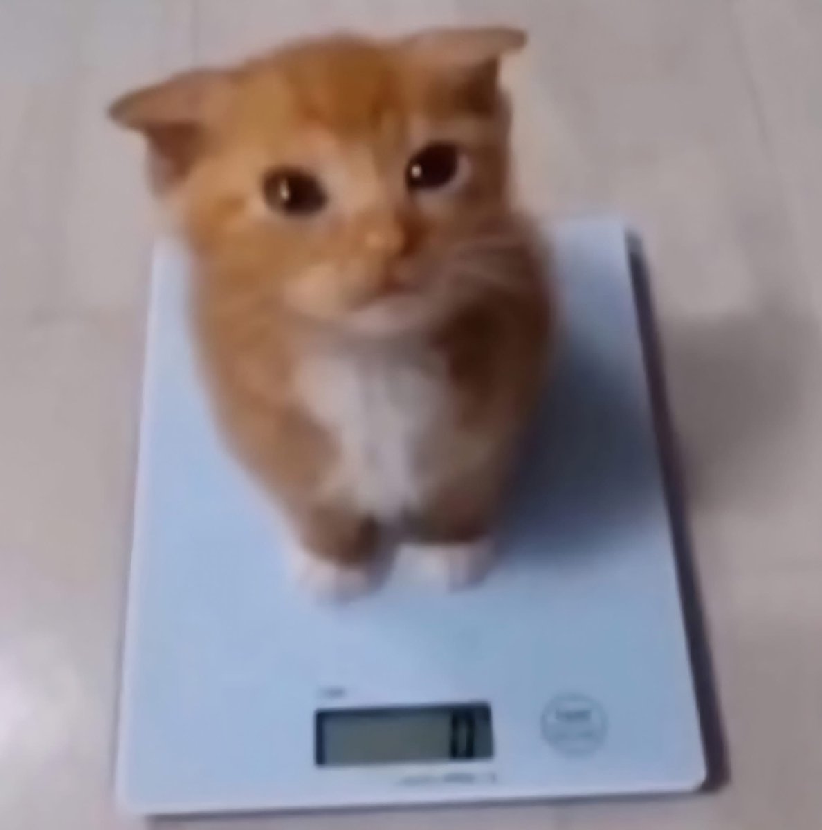 Lo que espero que pase después de 20hrs de ayuno: